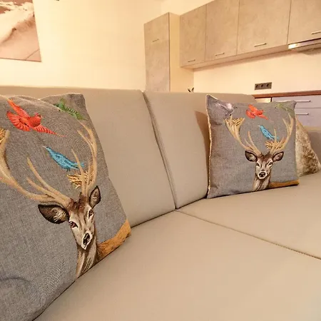 Post Residence Apartments Incl Zak Summer Card By All In One Apartments Zell am See