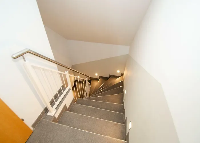 Post Incl Zak Summer Card By In One *